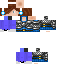 Texture for ninja