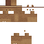 Texture for BioBauerPaul