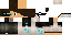 Texture for Robobot