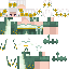 Texture for Message_Aurora