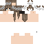 Texture for Overlay