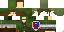 Texture for Link