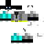 Texture for Titxetang