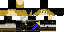 Texture for Link