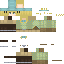 Texture for diego