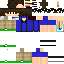 Texture for CEMGOV6