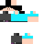 Texture for Recreated from Steve Recreated
