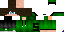 Texture for simon1