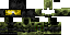 Texture for PacManC