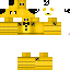 Texture for PGF
