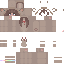 Texture for bear