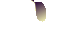 Texture for yellow puple wings