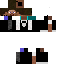Texture for Steve