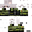 Texture for SFH