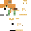 Texture for alex