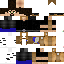 Texture for Swan On Titan