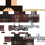Texture for Crusader