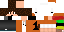Texture for ticjur1