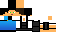 Texture for carl