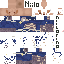 Texture for Viktor