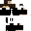 Texture for Dipper