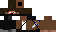 Texture for Sapper