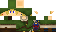 Texture for Link