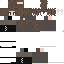 Texture for phillypras4