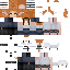 Texture for True B Cas H
