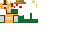 Texture for TURTLE DUCKK