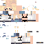 Texture for 21312