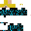 Texture for Ludwig