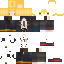 Texture for don quixote