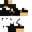 Texture for Cop