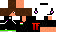 Texture for Link