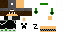 Texture for niste Bionic 