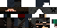 Texture for Ninja