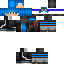 Texture for guepard_rapide
