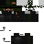 Texture for Steve