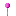Texture for allium