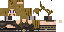 Texture for test