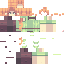 Texture for Alex