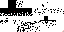 Texture for lokl
