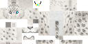 Texture for Snow leopard