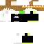 Texture for WangL50 (miroh - felix)
