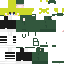 Texture for Braga