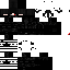Texture for ds