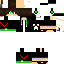 Texture for DS_GAMERTV