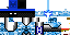 Texture for ds