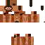 Texture for char